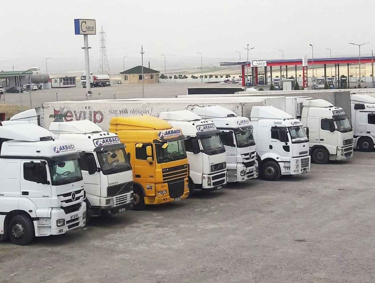 صورة المعرض 1